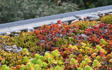 the cost of Shackleford green roof installation