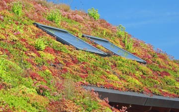 Shackleford living roof systems